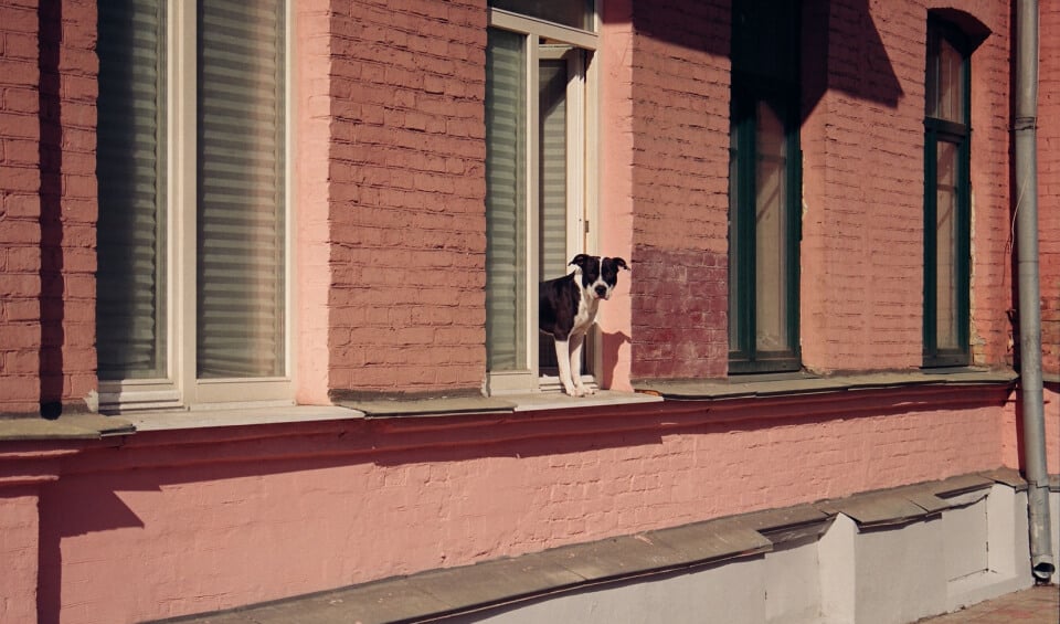 Tips for renewing your home insurance image