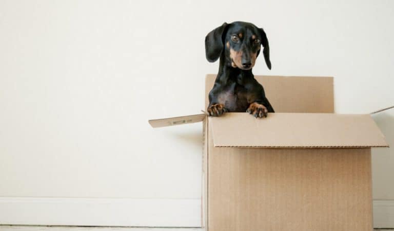 What is the new Help to Buy scheme and who is it for? image