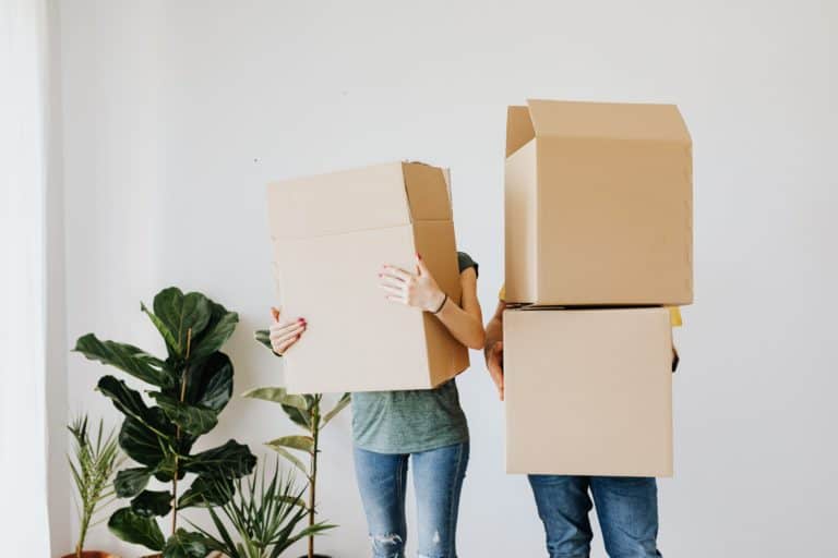 The government’s pledge to combat declining homeownership rates image