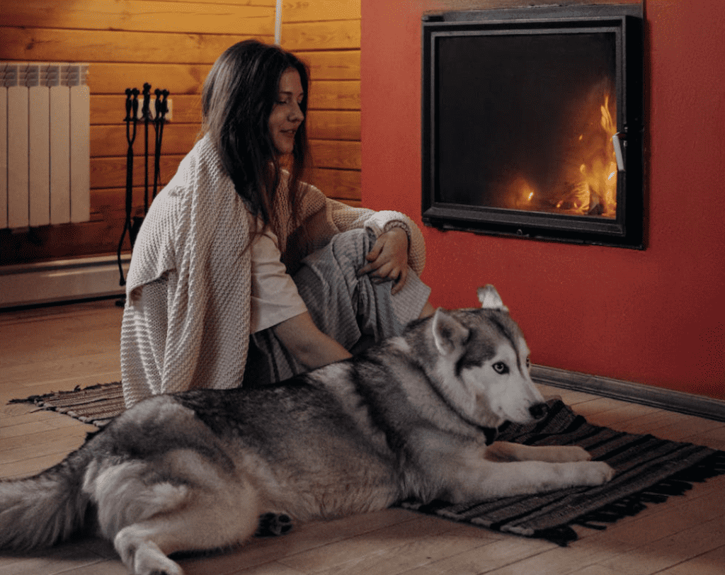 How to save money this winter image